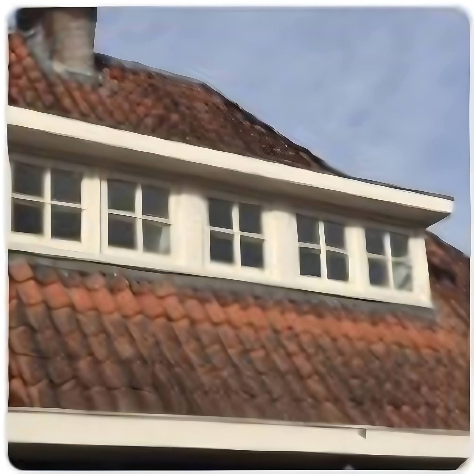 Dakkapel en dakrenovatie in Laren